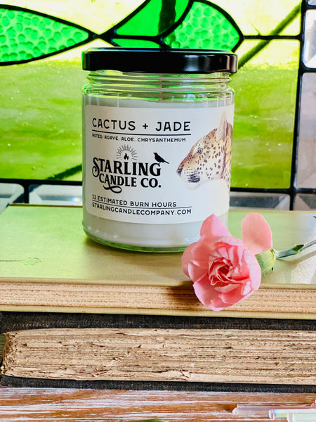 Cactus and Jade Candle